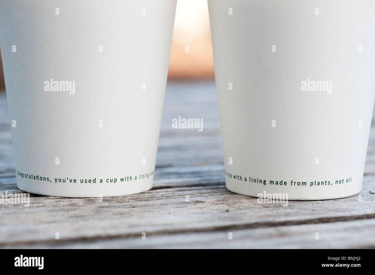 Biologisch abbaubare Einwegflaschen aus Plastik Tee Schale Stockfoto