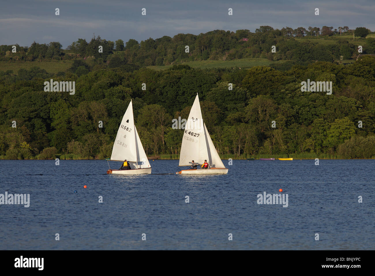 Segelboote Rennen auf Castle Semple Loch, Clyde Muirshiel Regional Park, Lochwinnoch, Renfrewshire, Schottland, UK Stockfoto