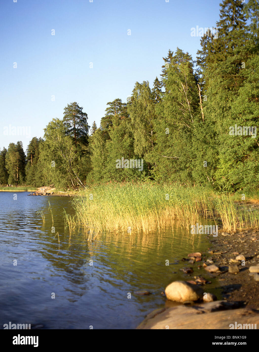 Küstenlinie auf der Insel Seurasaari und Freilichtmuseum, Seurasaari, Helsinki, Region Uusimaa, Republik Finnland Stockfoto