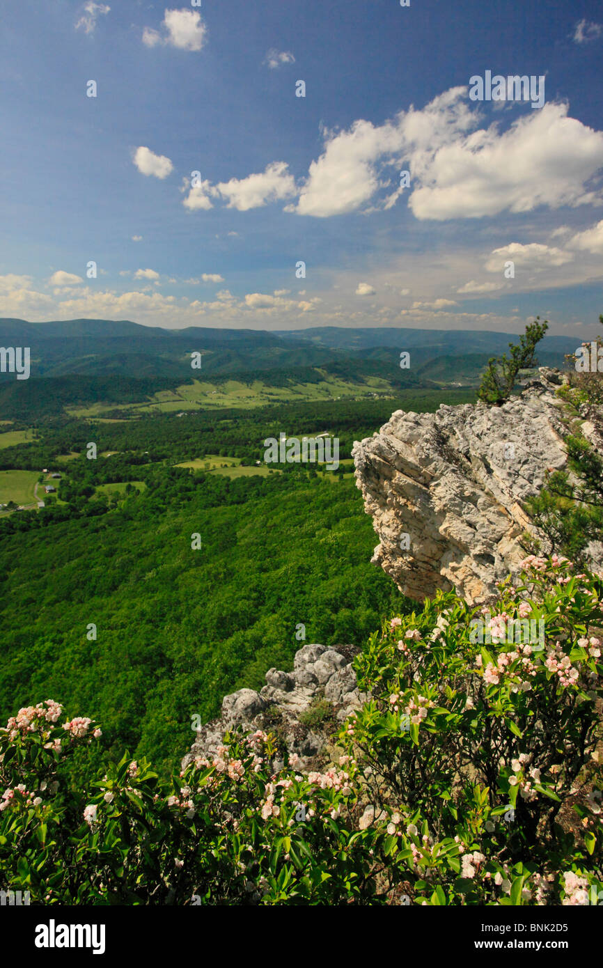Blick auf Deutschland Tal und Fichte Knopf aus North Fork Bergweg, Franklin, West Virginia, USA Stockfoto