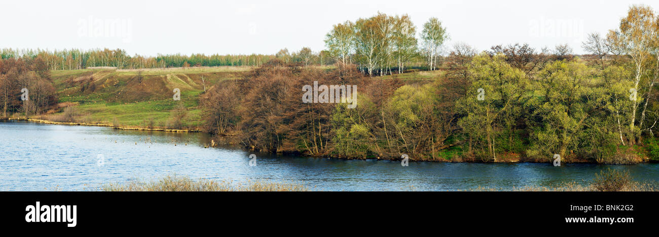 Beeindruckende Panorama mit Fluss und Bäume in der wilden Natur. Stockfoto