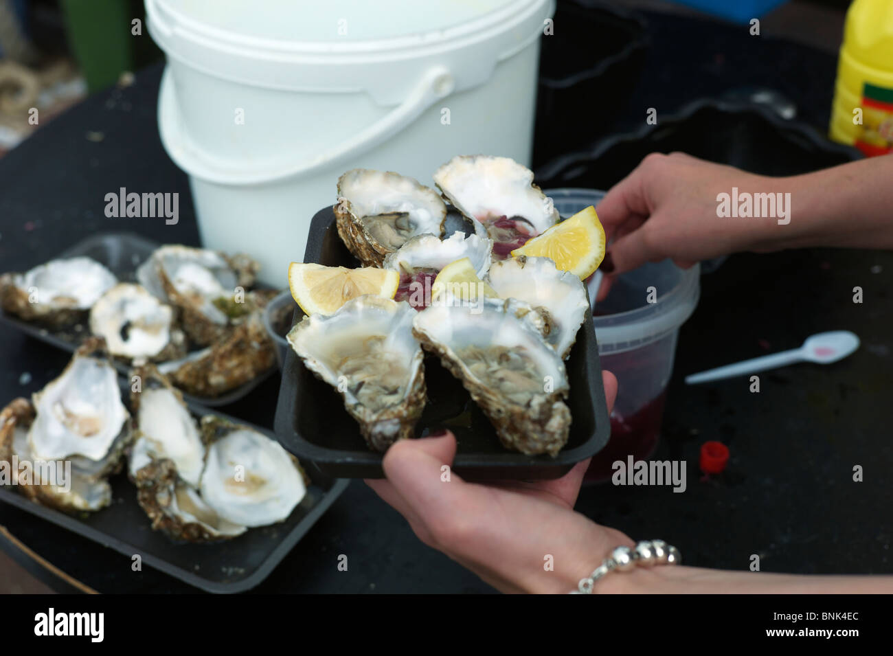 Ein Teller mit Austern mit Zitronenvierteln Whitstable Oyster Festival Stockfoto