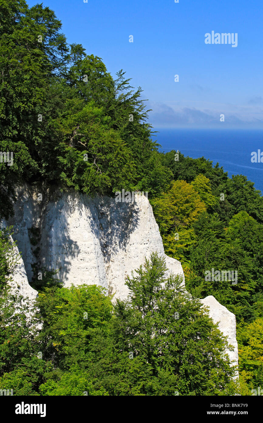 Kreide Klippen, Nationalpark Jasmund, Rügen Insel Mecklenburg Western Pomerania, Deutschland, Europa Stockfoto