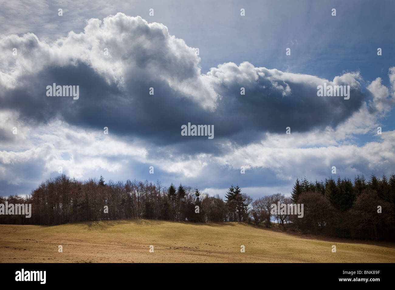 Dunkle Wolken über Wald und Feld Wales UK Stockfoto