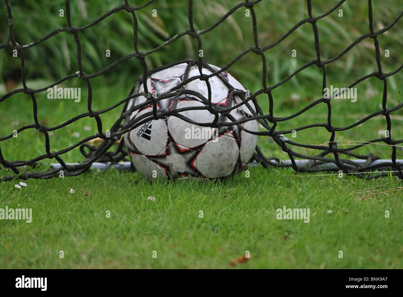 Fußball im Tor im Garten Stockfoto