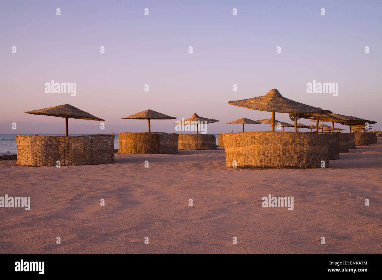 Sonnenliegen auf einem ägyptischen Strand bei Sonnenaufgang Stockfoto