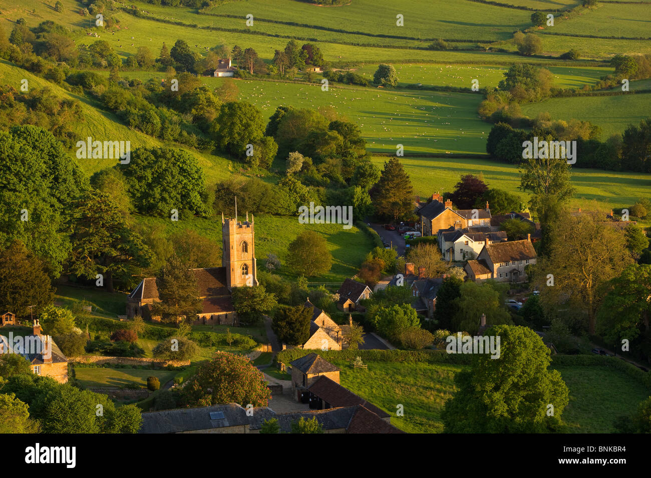 Ein schöner Abend im Frühsommer, Blick hinunter auf das Dorf Corton Denham, Somerset, England am der Dorset-Somerset-Grenze Stockfoto