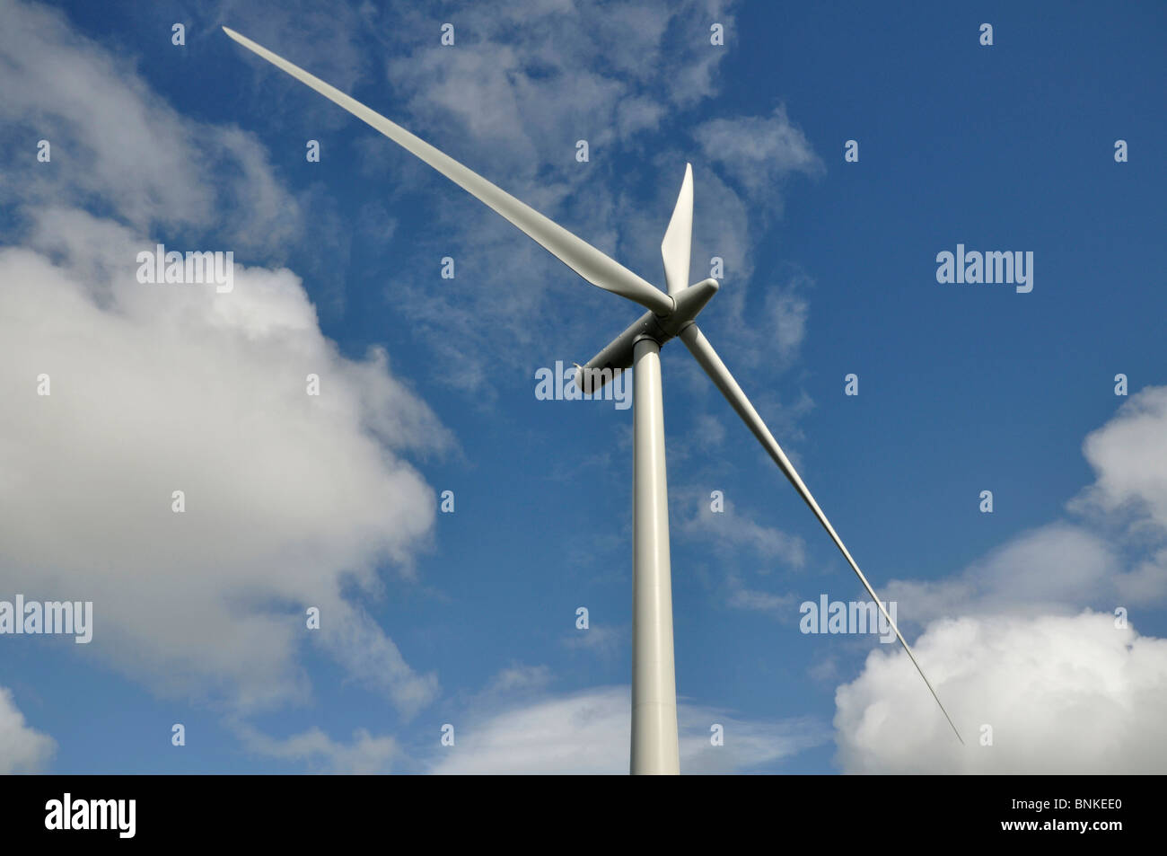Windkraftanlage, Windpark Whitelee, in der Nähe von Glasgow, Schottland Stockfoto