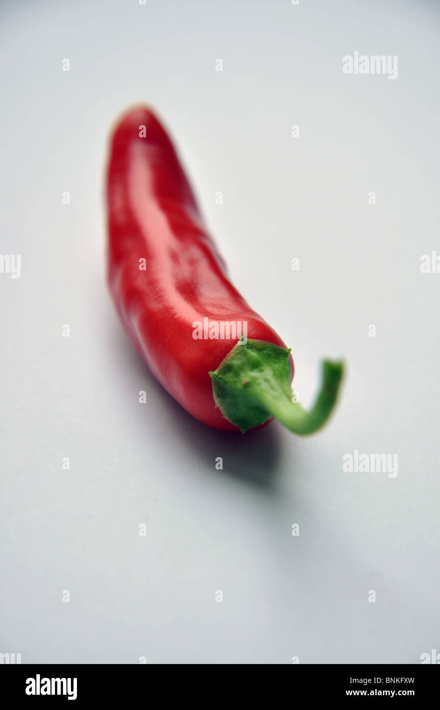 rote Chili Pfeffer weiß Hintergrund Stockfoto