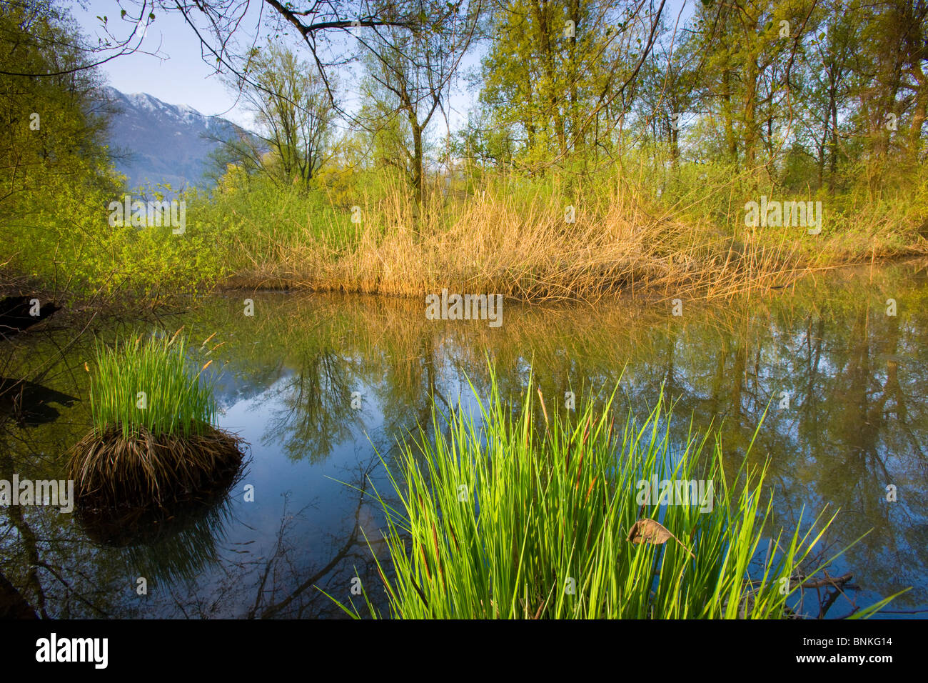 Schild Naturschutzgebiet Stockfotos und bilder Kaufen Alamy