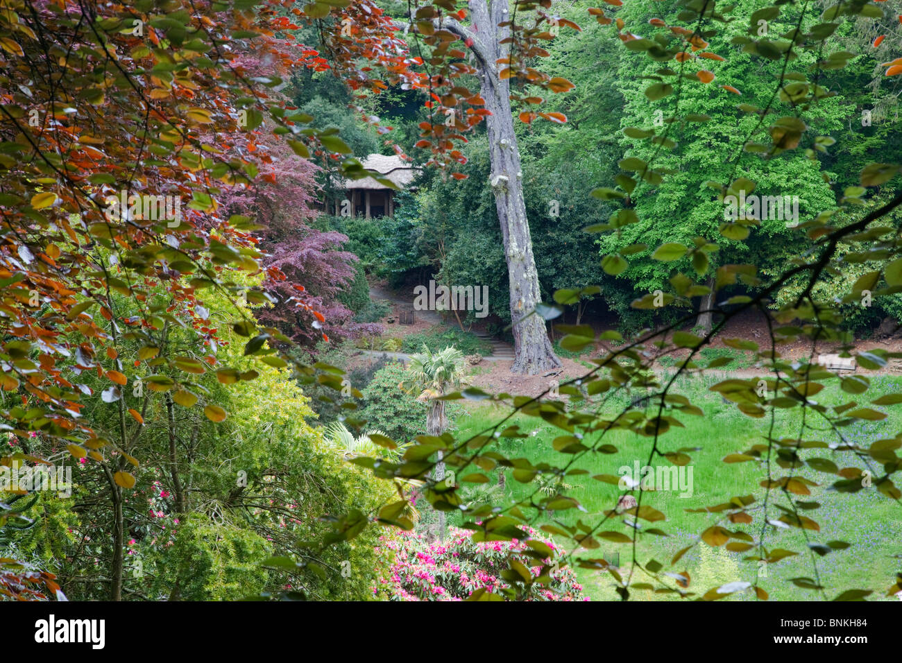 Trebah Garten; Cornwall; am Abend Stockfoto