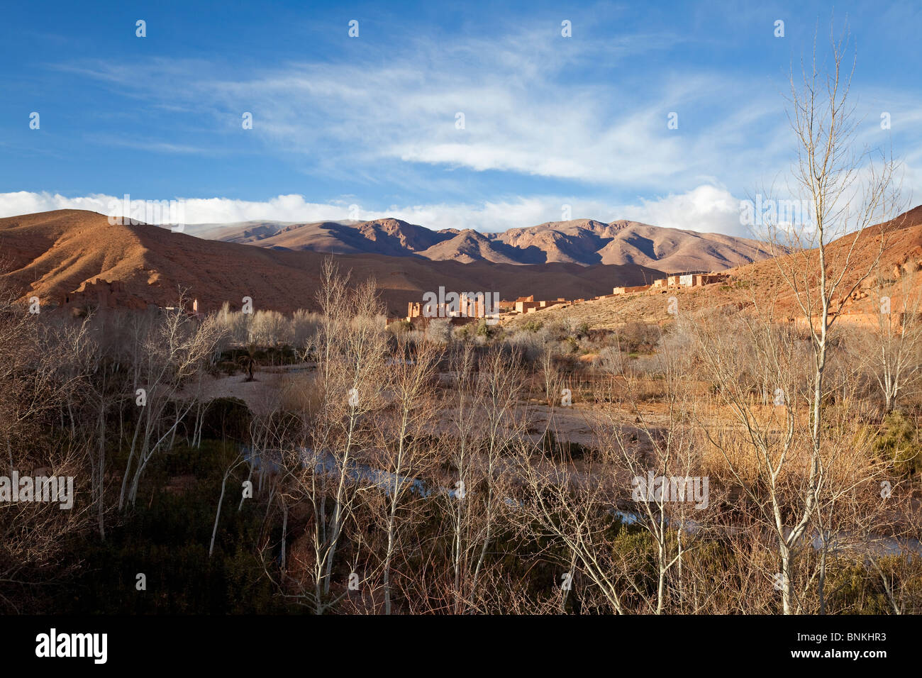 Blick auf Dades Gorges und Kasbah Ait Arbi, Dades Valley, Zentralmarokko Stockfoto