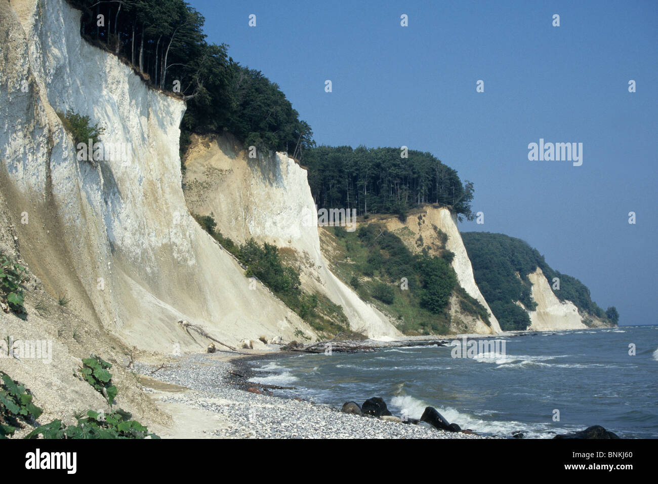 Kreide Kreide Klippe Küste Ostseeküste Nationalpark Jasmund Insel Insel Rügen Mecklenburg
