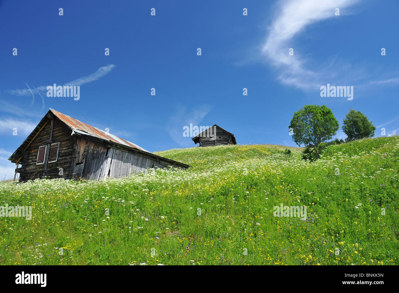 Schweiz Alpen Wiesen Blumen Bäume grünen Himmel Himmel Rasen Weide Weide Landschaft Natur Landwirtschaft Hütte Holz stabil fliegt, Stockfoto