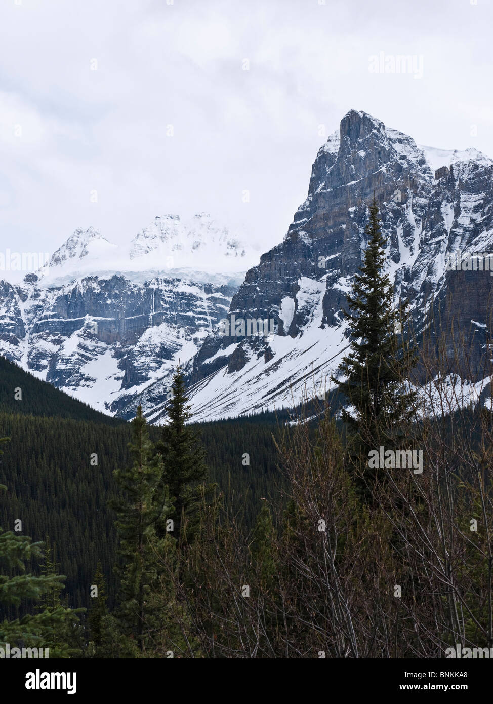 Mount Temple 3543m in Banff Nationalpark Alberta Kanada Stockfoto