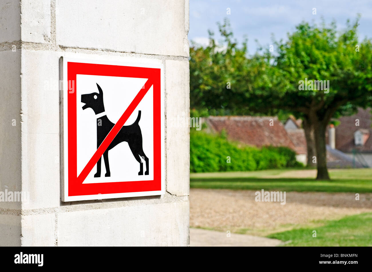 Keine Hunde erlaubt / Wand Zeichen - Frankreich. Stockfoto