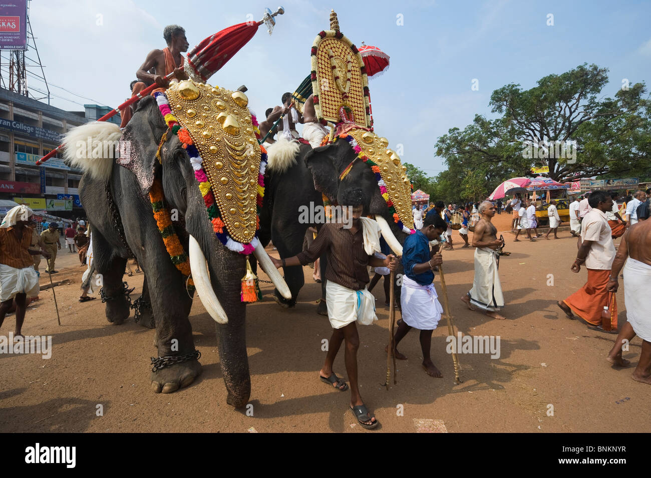 Indien Kerala Thrissur spannte Elefanten während des Pooram Elephant Festival Stockfoto