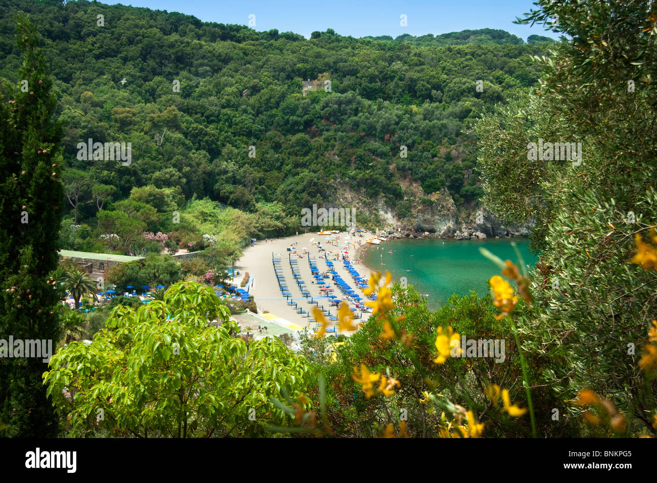 Insel von Ischia, Negombo, Strand, Süden, Italien Stockfoto