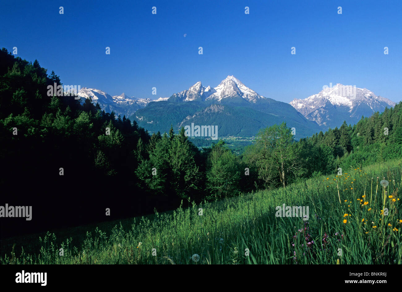 Europa-Deutschland-Bayern-Berchtesgaden-Watzmann Berge Alpen Alpine Landschaft Natur Berggipfel Holz Wald Wiese Sommer Stockfoto