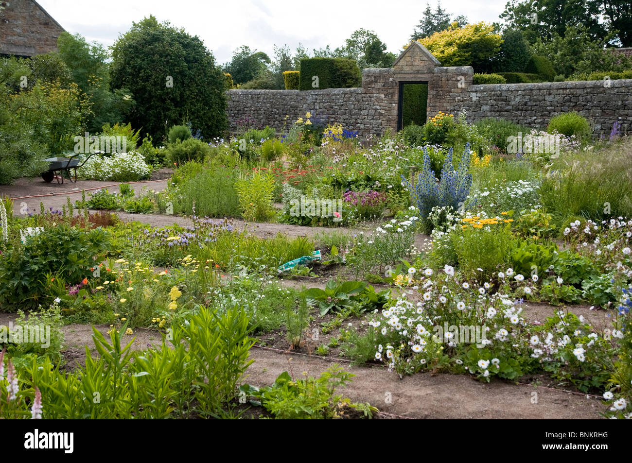 Herterton Haus Garten, Nr Cambo, Northumberland, UK - Pflanze-Baumschule Stockfoto