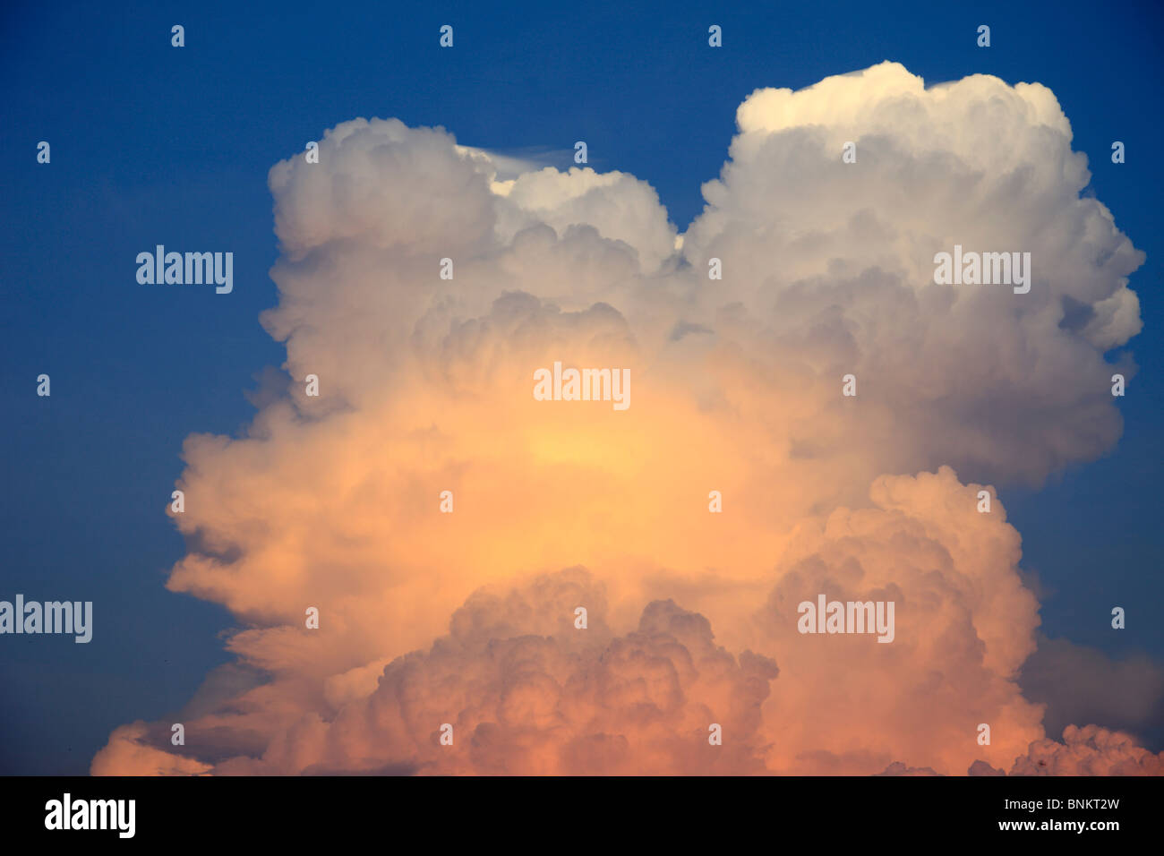 Cumulus Wolke, Himmel Stockfoto