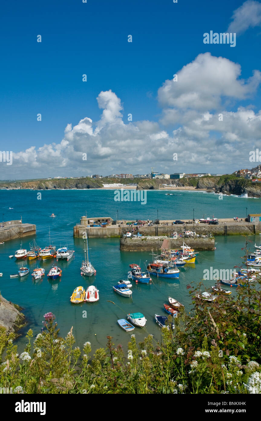 Blick hinunter auf den Hafen Newquay Cornwall England Stockfoto