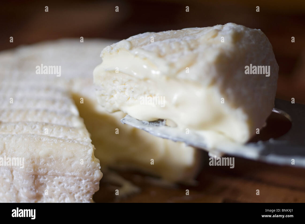 Big Cheese Stockfoto