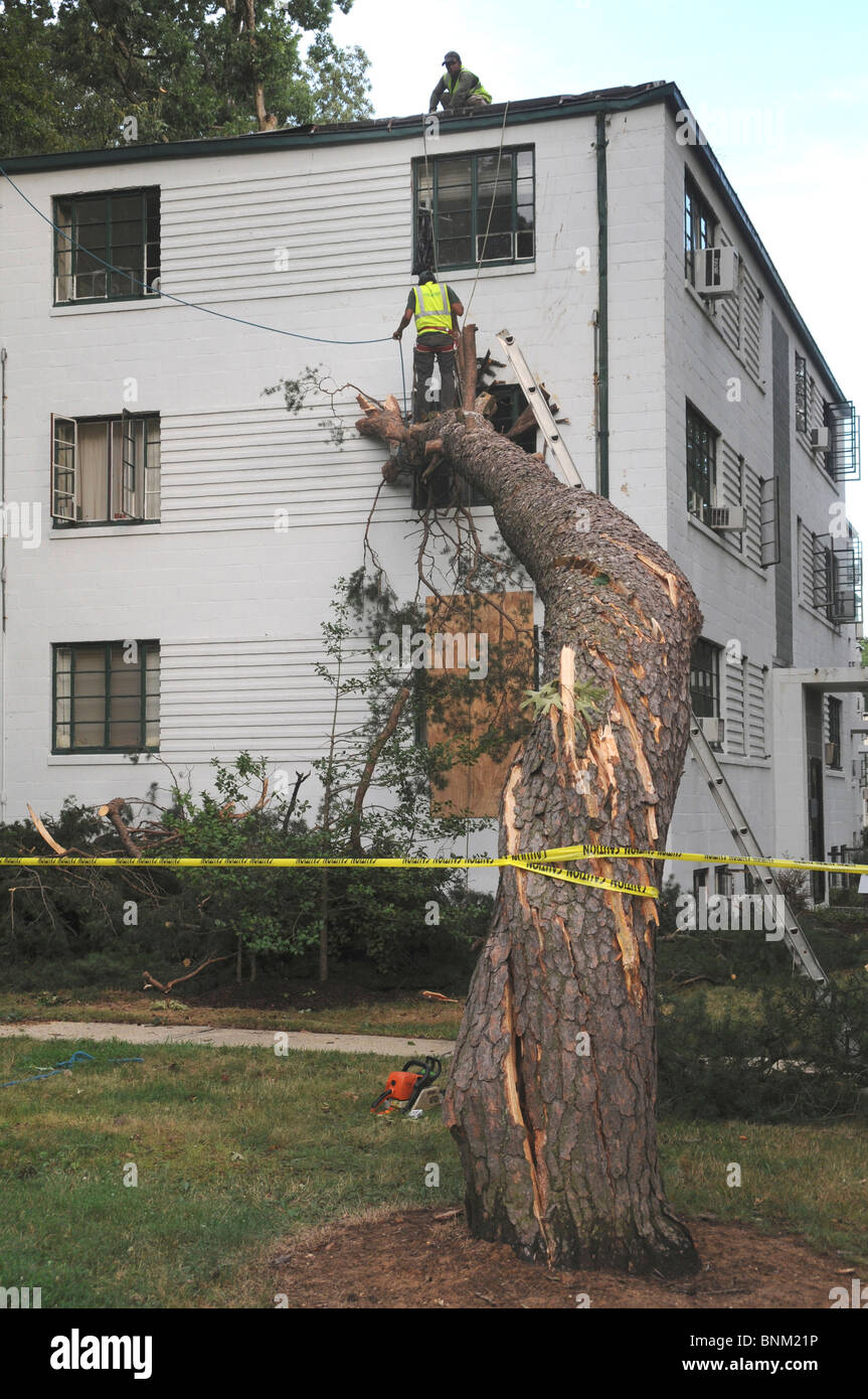 Arbeiter arbeiten auf die Beseitigung eines großen Baumes, der durch ein Fenster einer Wohnung bei einem schweren Sturm Greenbelt, Maryland USA abgestürzt Stockfoto