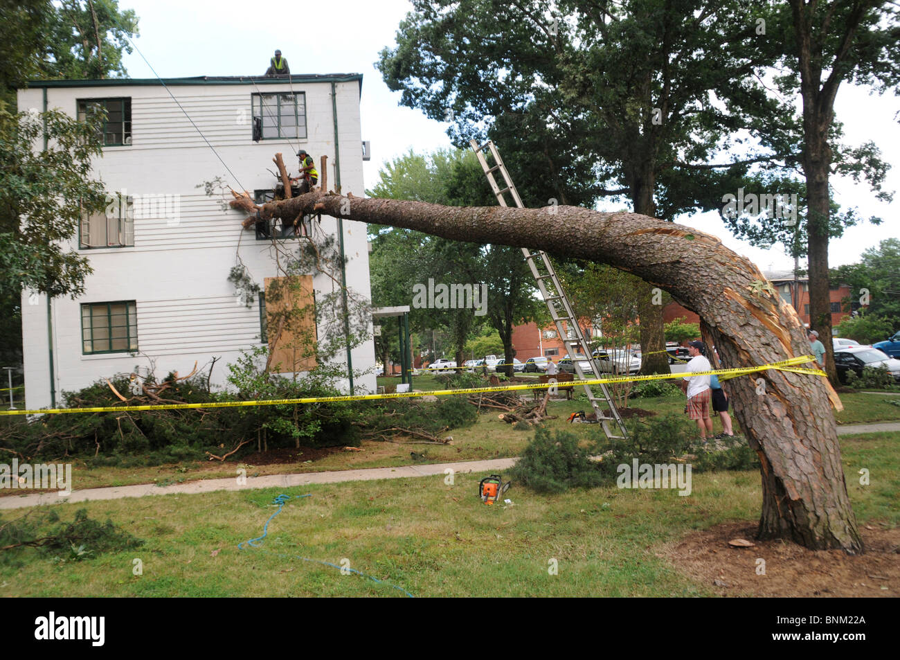 Arbeiter arbeiten auf die Beseitigung eines großen Baumes, der durch ein Fenster einer Wohnung bei einem schweren Sturm, die 75-80 km/h gebracht abgestürzt Stockfoto