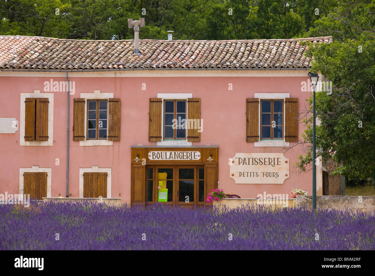 Simiane-la-Rotonde Frankreich Provence Alpes-de-Haute-Provence Lavendel Lavendel Feld Haus Haus Bäcker Bäckerei Stockfoto