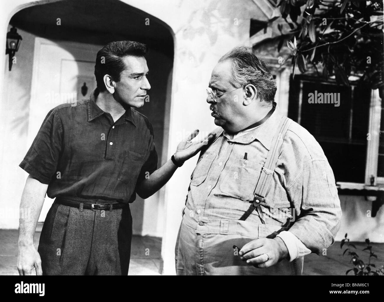 VOLLER LEBEN (1956) RICHARD CONTE, SALVATORE BACCALONI RICHARD QUINE (DIR) 002 MOVIESTORE SAMMLUNG LTD Stockfoto