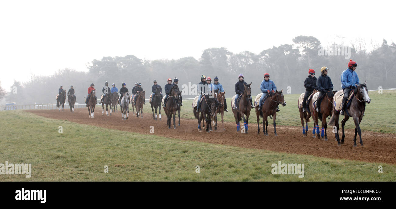 [Ausübung Rennpferde} Auf die Galoppaden Jockeys Warren Hügel Newmarket Stockfoto