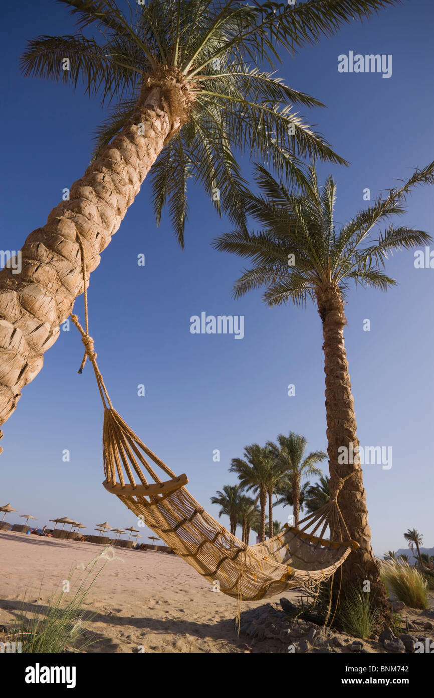 Eine Hängematte zwischen 2 Palmen in Ägypten Stockfoto