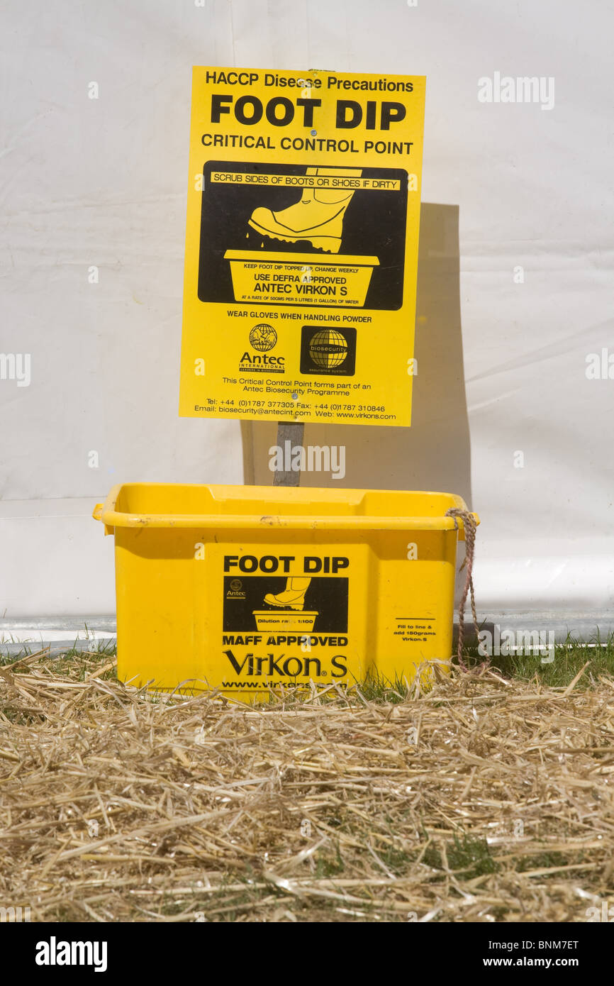 Fuß-Dip auf eine landwirtschaftliche Messe Stockfoto