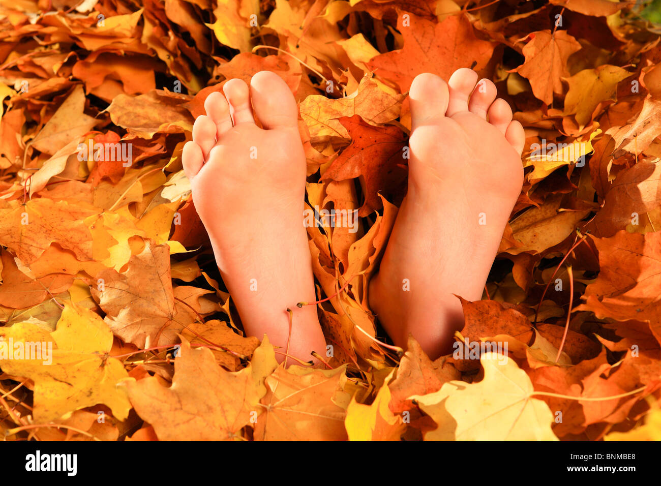 Ahorn Blatt Blatt Blatt Blätter Haufen Haut Herbst Herbst Farbe Herbst Farben Herbst Laub im Herbst Verfärbung Kind Füße Stockfoto