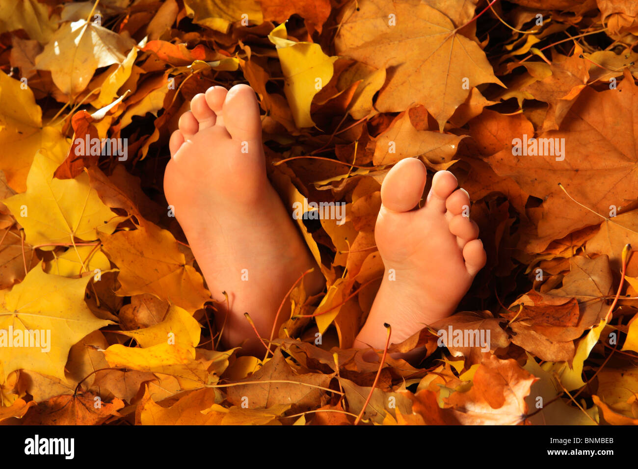 Ahorn Blatt Blatt Blatt Blätter Haufen Haut Herbst Herbst Farbe Herbst Farben Herbst Laub im Herbst Verfärbung Kind Füße Stockfoto