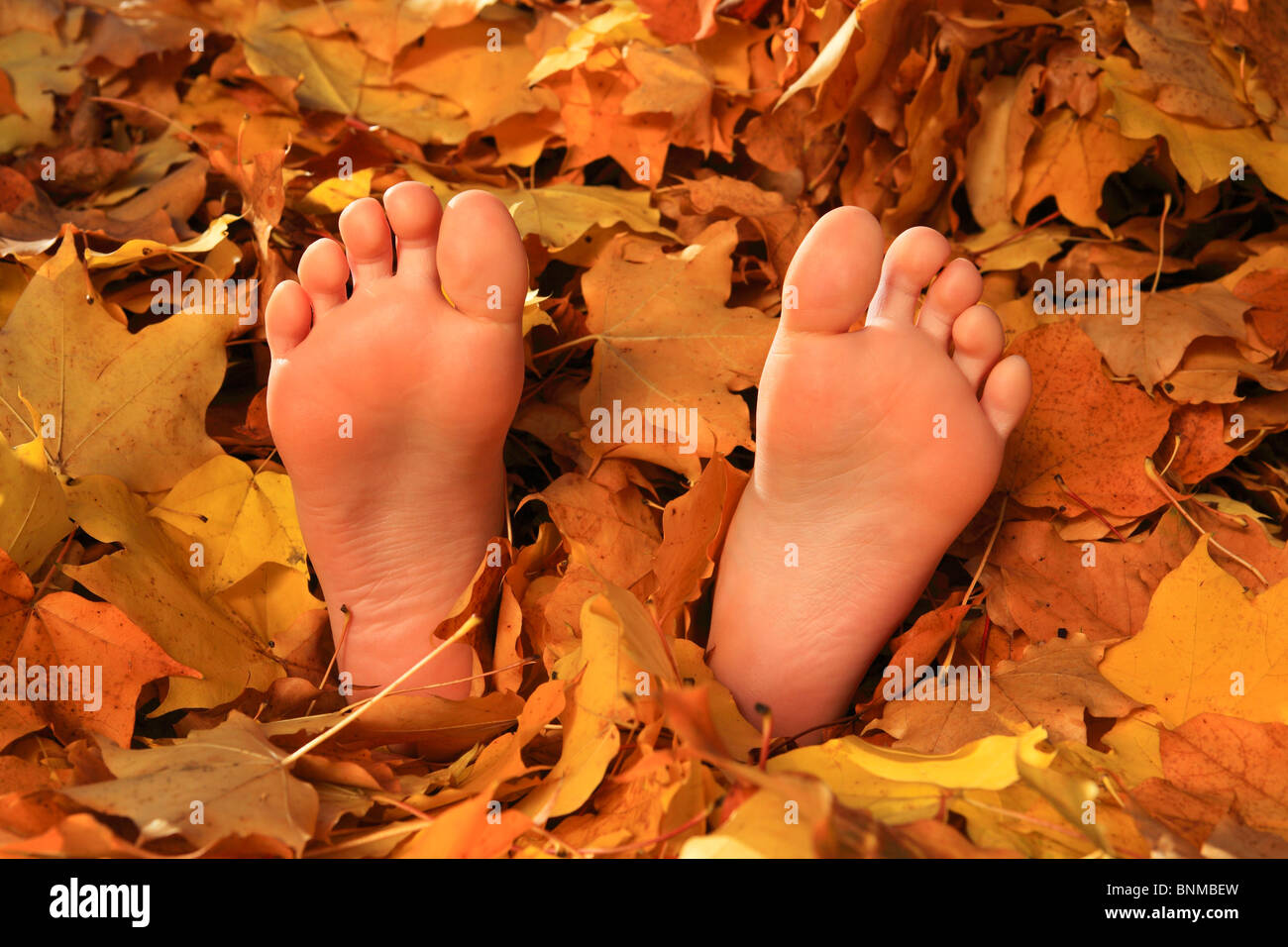 Ahorn Blatt Blatt Blatt Blätter Haufen Haut Herbst Herbst Farbe Herbst Farben Herbst Laub im Herbst Verfärbung Kind Füße Stockfoto