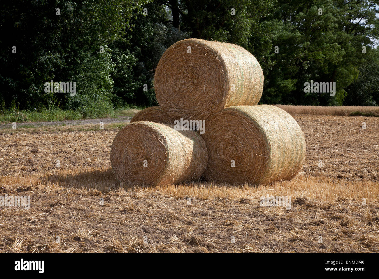 Strohballen auf einem Feld Stockfoto