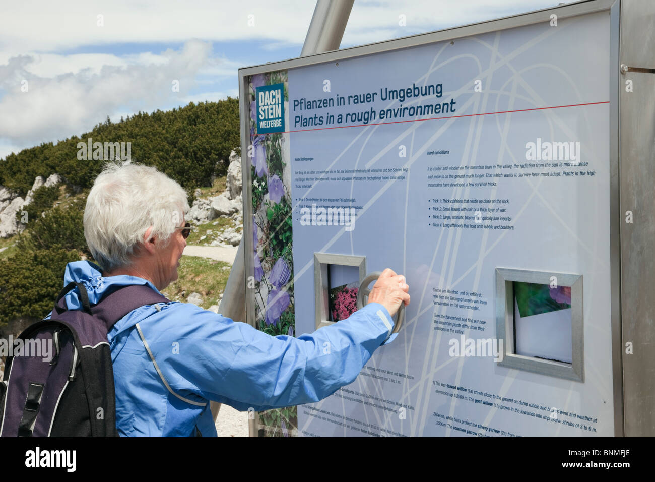 Ältere Frau Tourist mit eine interaktive Natur-Info-Point am Krippenstein Mountain auf den Dachstein Welterbe Stockfoto