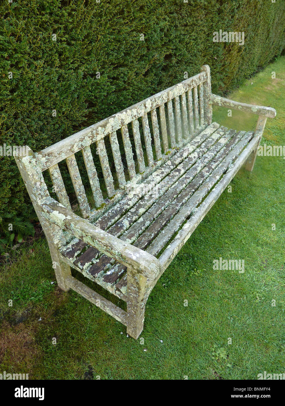 Flechten decken dieser Sitz auf dem Gelände des Gilbert White House im Selborne, Hampshire Stockfoto