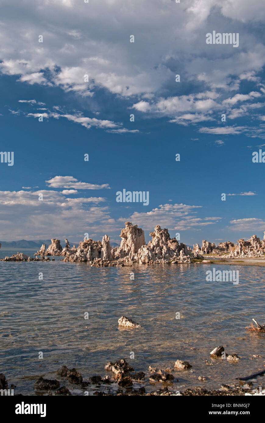 Norden Tufas Mono Lake, Lee Vining, Kalifornien. Sommernachmittag. Stockfoto