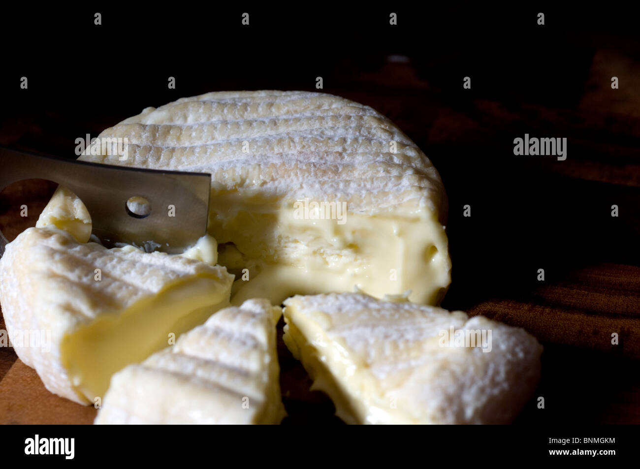 Big Cheese Stockfoto