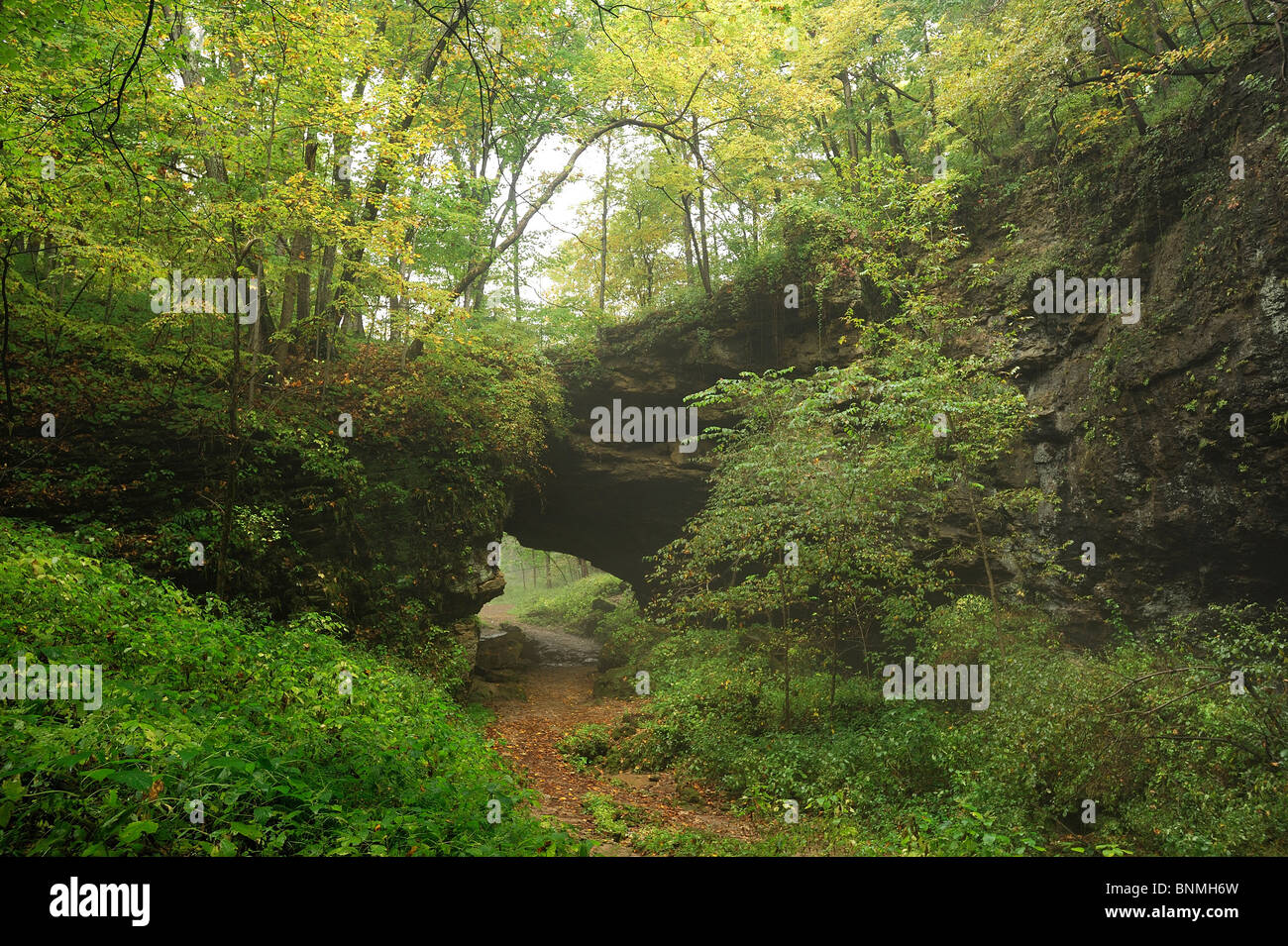 Natural Bridge Maquoketa Höhlen State Park Iowa USA Holz Wald Natur Herbst Brücke Felsen Nordamerika Stockfoto