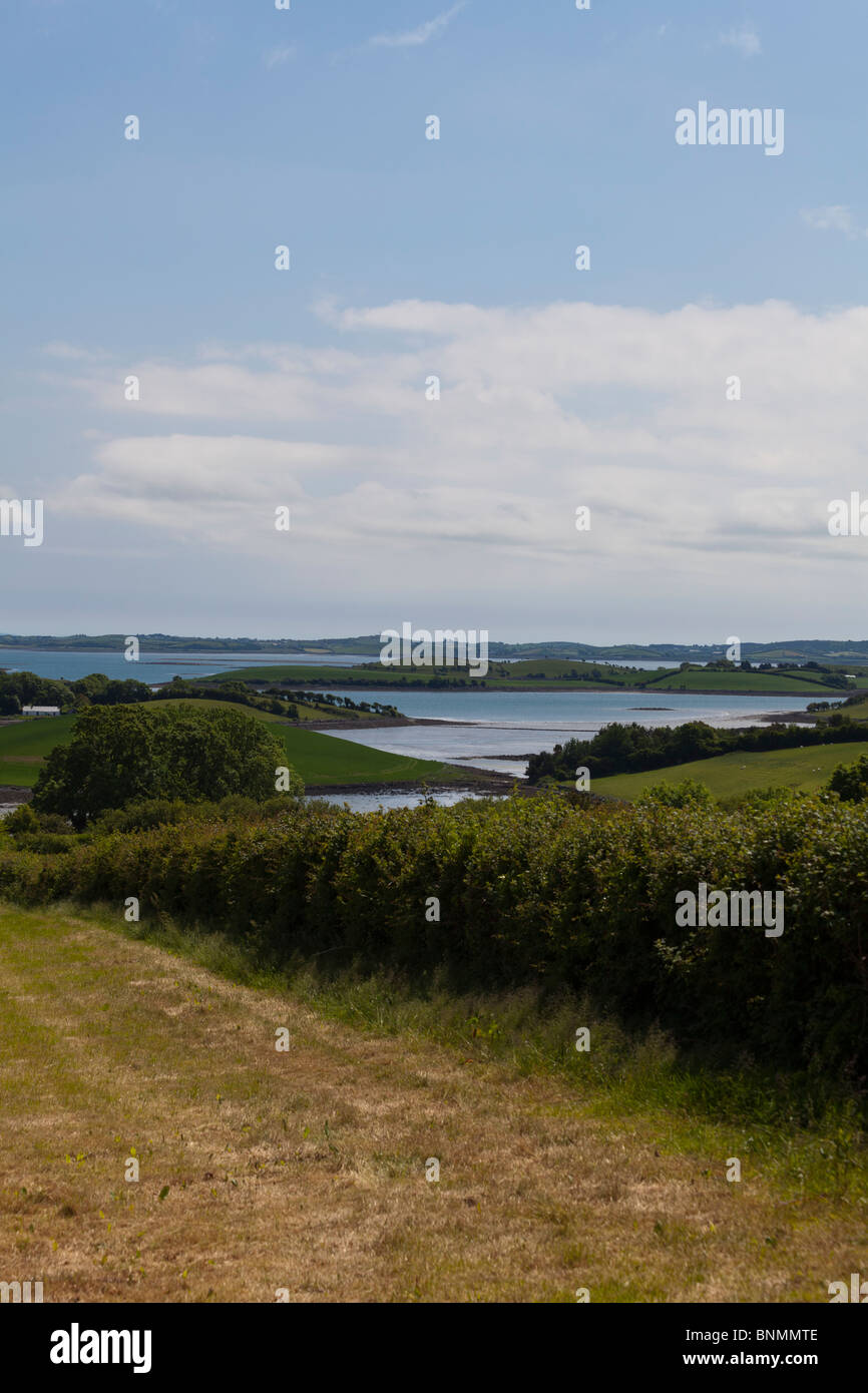 Feldern neben Strangford Lough in der Nähe der Stadt Killinchy zwischen Comber und Killyleagh, County Down, Nordirland, Vereinigtes Königreich Stockfoto