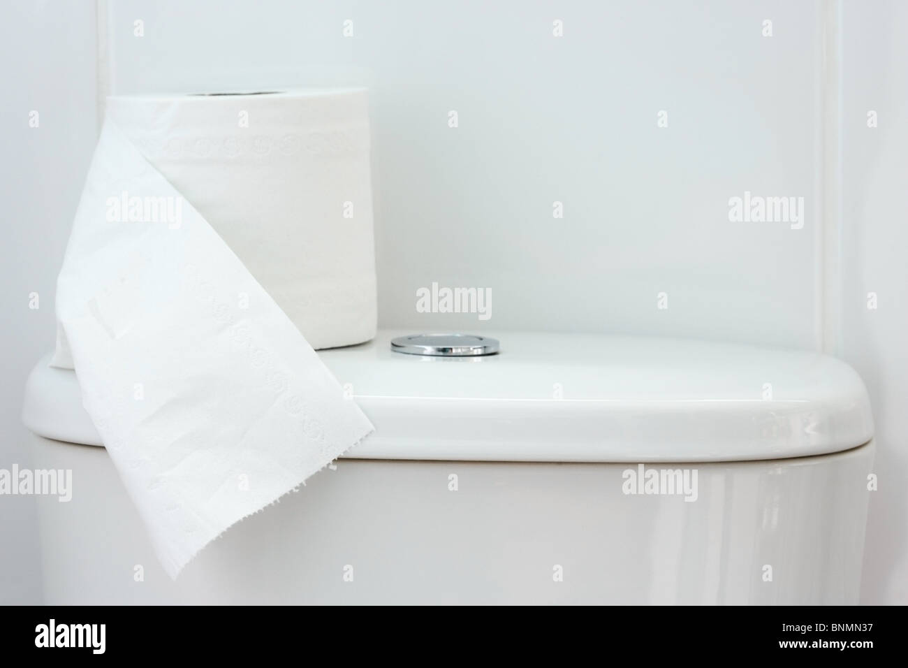 Spülkasten mit WC-Papierrolle Stockfoto