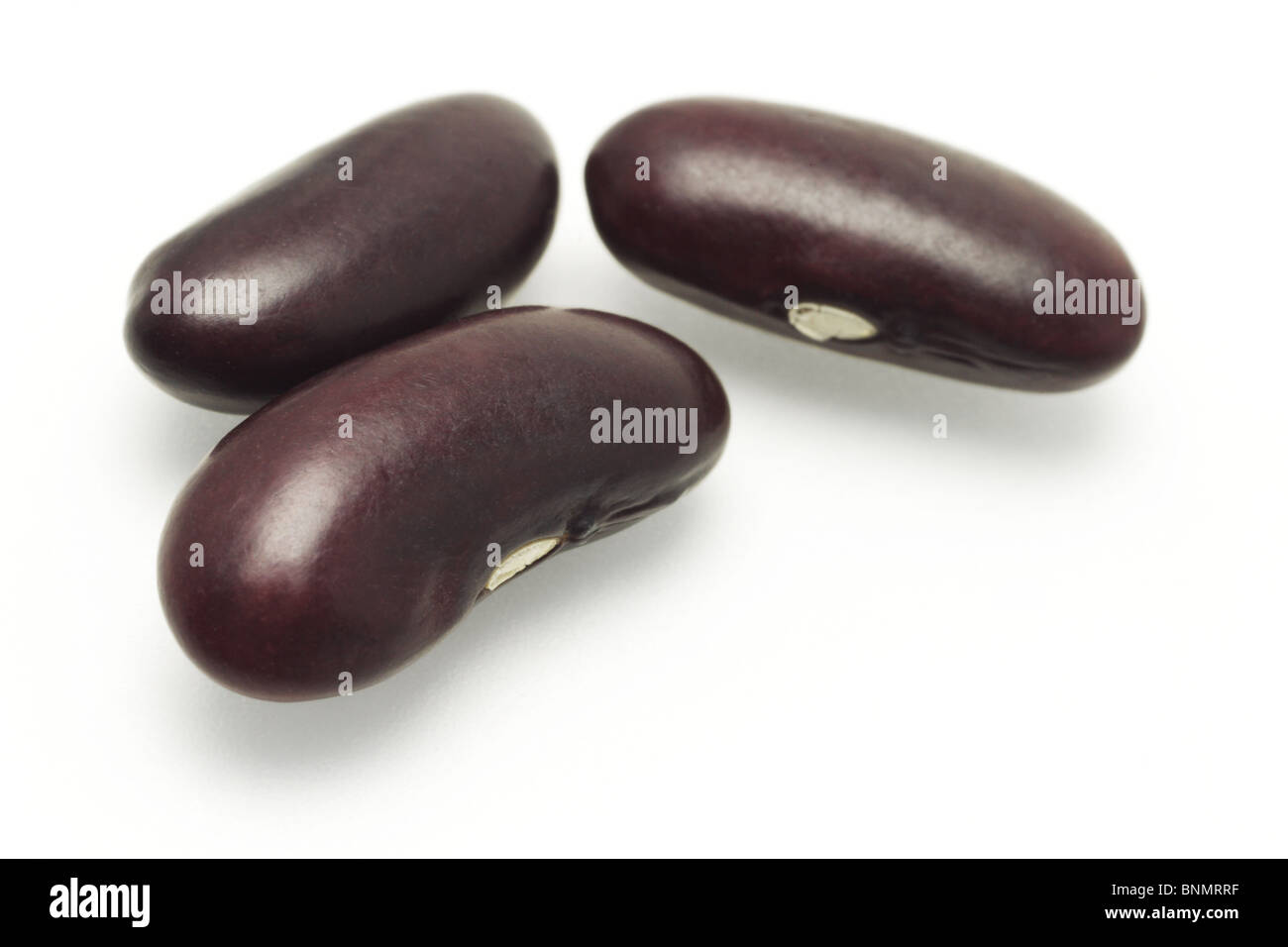 Drei dunkle rote Kidney-Bohnen auf weißem Hintergrund Stockfoto