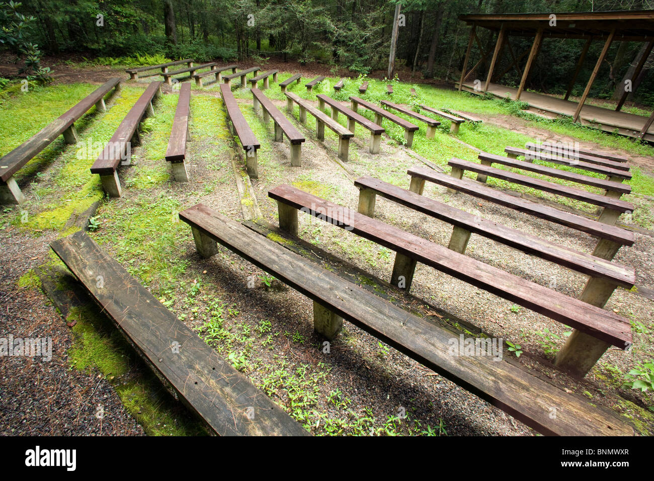 Amphitheater - Davidson River Campground - Pisgah National Forest, in der Nähe von Brevard, North Carolina, USA Stockfoto