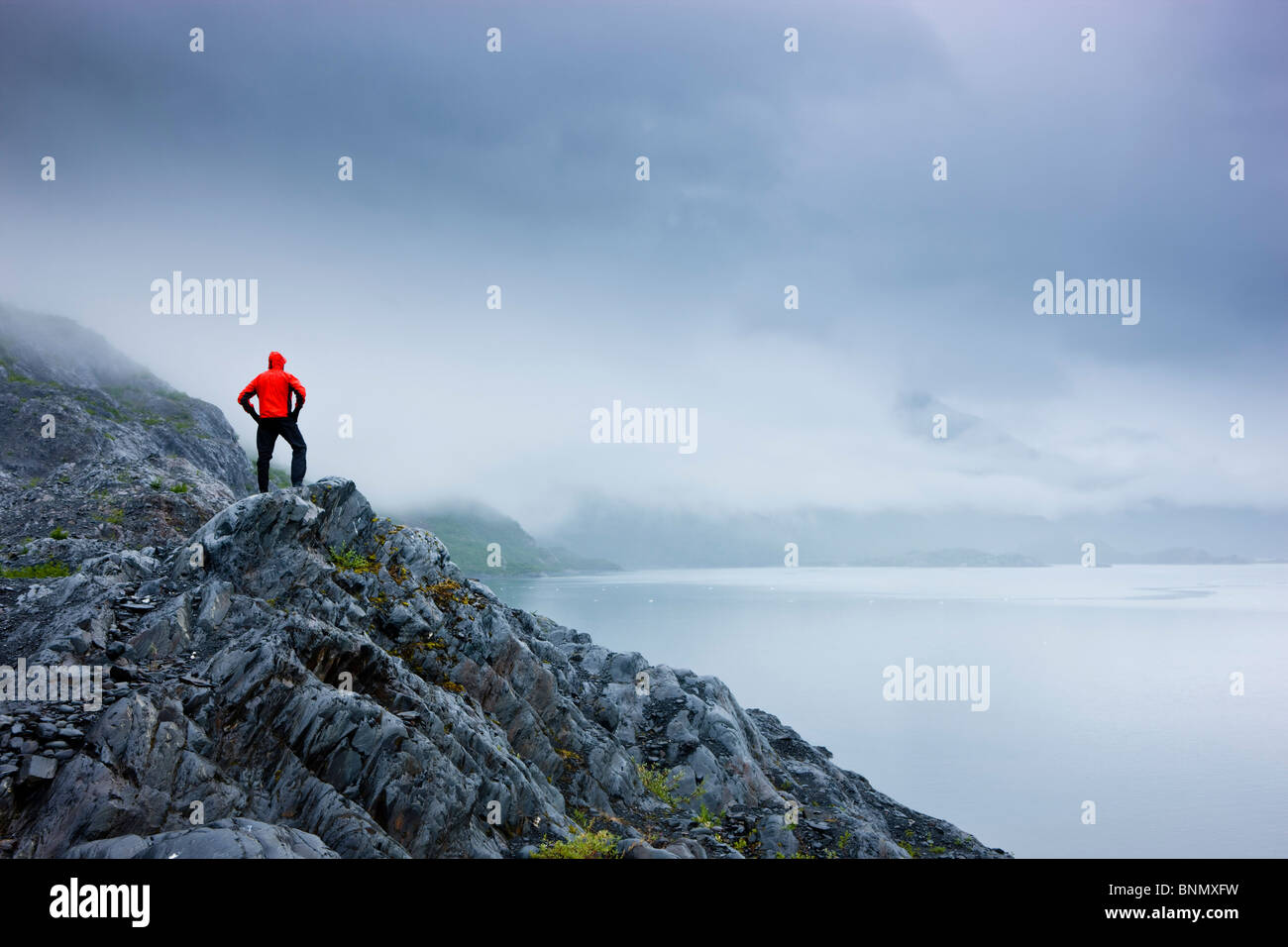 Ein einsamer Wanderer steht auf einem Felsvorsprung mit Blick auf Shoup Bay State Marine Park, Prince William Sound, Alaska Stockfoto