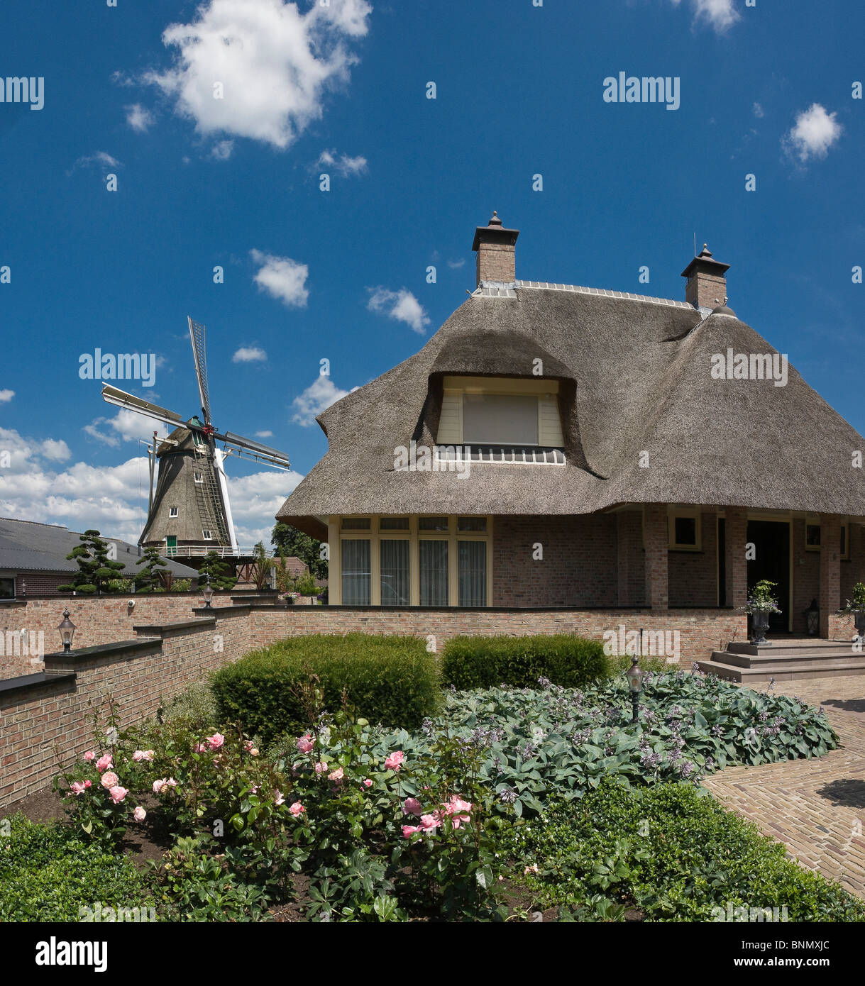 Niederlande Holland Gelderland Goor Windmühle Blumen Sommer Panoramahaus Windmühle De Braakmolen Stockfoto