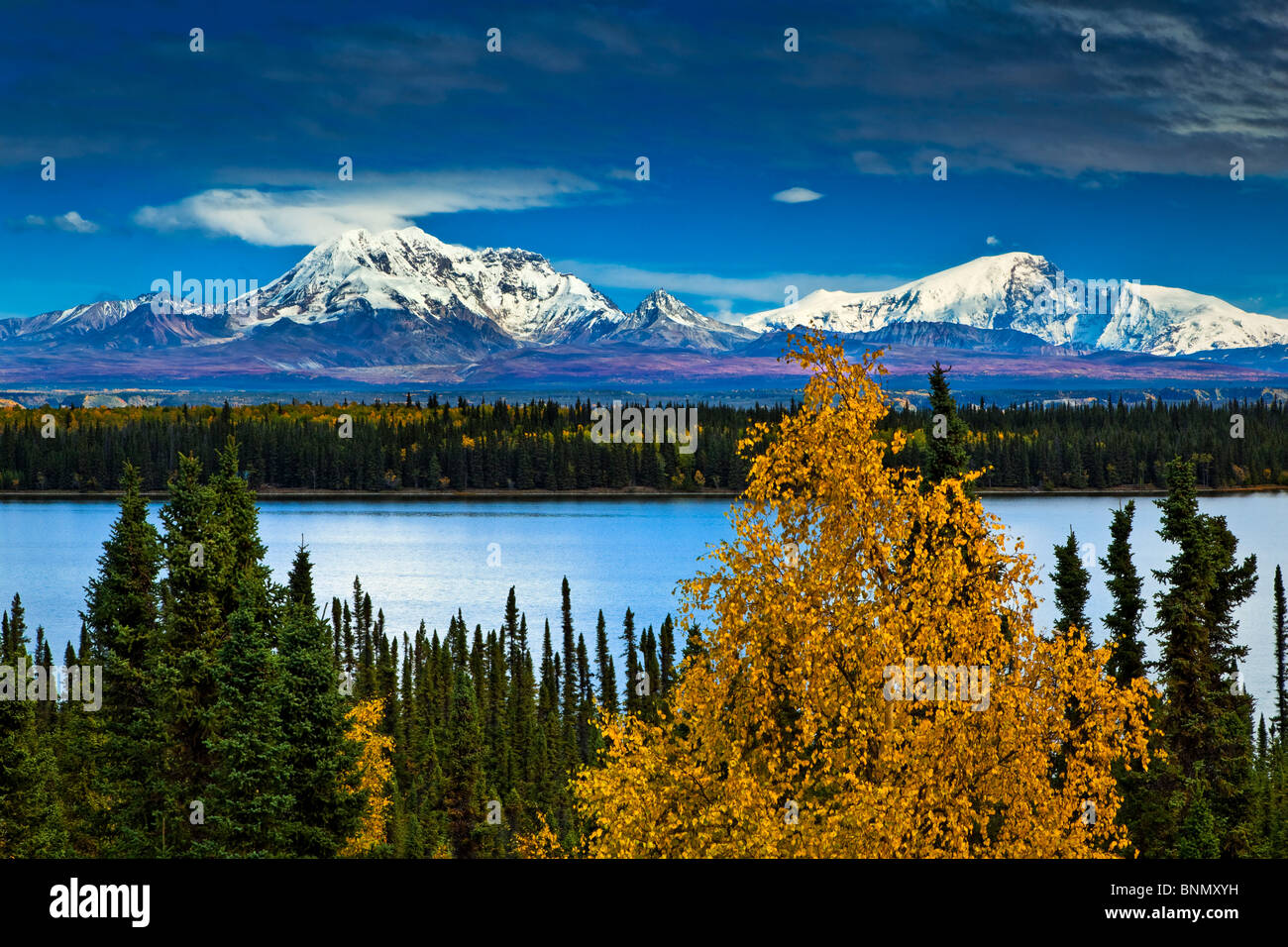 Malerische Aussicht auf Mt. Sanford und Mt. Drum mit Willow Lake im Vordergrund, Wrangell St. Elias Nationalpark & zu bewahren, Alaska Stockfoto